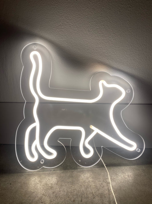 Gatto Neon led